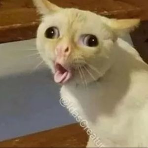 Meet your Posher, Karina